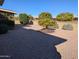 Landscaped backyard with gravel and mature trees at 5110 E Edgewood Ave, Mesa, AZ 85206