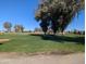 Green grass golf course with golf carts at 5110 E Edgewood Ave, Mesa, AZ 85206