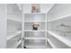 Bright white pantry with ample shelving for storage at 7206 W Wood St, Phoenix, AZ 85043