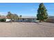 Backyard view of house and landscaping at 10629 W Willow Creek Cir, Sun City, AZ 85373