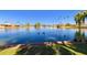 Tranquil lake view with ducks and palm trees at 25636 S Howard Dr, Sun Lakes, AZ 85248