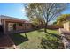 Spacious backyard with grassy lawn and mature tree at 2828 E Blackhawk Dr, Phoenix, AZ 85050