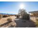 Spacious horse corral with mountain views and covered shelters at 31617 N 168Th St, Rio Verde, AZ 85263