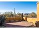 Small patio with desert views and a tall cactus at 31617 N 168Th St, Rio Verde, AZ 85263