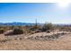 View of property line with rock border and desert landscape at 31617 N 168Th St, Rio Verde, AZ 85263