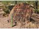 Granite Mountain Ranch entrance marker at 31617 N 168Th St, Rio Verde, AZ 85263