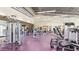 Fitness center with various weight equipment at 5132 E Umber Rd, San Tan Valley, AZ 85143