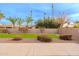 Landscaped backyard with artificial turf and block wall at 747 E Nolan Pl, Chandler, AZ 85249