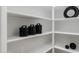 White pantry shelves offer ample storage space at 747 E Nolan Pl, Chandler, AZ 85249