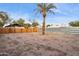 Large vacant lot with sandy soil and a palm tree at 929 E Granada Rd, Phoenix, AZ 85006