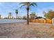 Large backyard with dirt and a tall palm tree at 929 E Granada Rd, Phoenix, AZ 85006