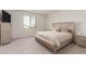 Large bedroom with plush carpeting and a spacious layout at 9354 E Sector Dr, Mesa, AZ 85212