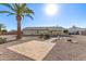 Backyard features a patio, gravel landscaping, and a mature palm tree at 9526 W Briarwood N Cir, Sun City, AZ 85351