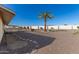 Backyard with gravel, stone pathway, and a mature palm tree at 9526 W Briarwood N Cir, Sun City, AZ 85351