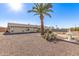 Desert landscape backyard with a palm tree and birdbath at 9526 W Briarwood N Cir, Sun City, AZ 85351