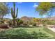 Cozy outdoor patio space with seating, a fire pit, desert landscaping and beautiful colorful flowering plants at 10420 E Morning Vista Ln, Scottsdale, AZ 85262