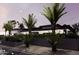 Contemporary home with desert landscaping, palm trees, and modern lighting at 11612 N 86Th St, Scottsdale, AZ 85260