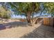 Backyard with gravel, trees, and wood fence at 12023 N 113Th Ave, Youngtown, AZ 85363