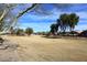 A large community greenspace with mature trees and playground structures nearby at 14767 N 148Th Ave, Surprise, AZ 85379