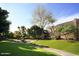 Community exterior showcasing manicured lawns, mature trees, and building at 3825 E Camelback Rd # 239, Phoenix, AZ 85018