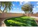 Artificial turf backyard with trees at 45513 W Sky Ln, Maricopa, AZ 85139