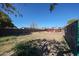 Backyard with shed and large grassy area at 5543 W Gardenia Ave, Glendale, AZ 85301