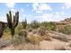 Natural desert landscape with cacti and shrubs at 10260 E White Feather Ln # 2003, Scottsdale, AZ 85262