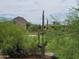 Saguaro cacti and desert landscape with homes in distance at 10260 E White Feather Ln # 2003, Scottsdale, AZ 85262