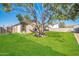 Backyard with lush lawn and mature tree at 14821 N 60Th Dr, Glendale, AZ 85306