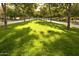 Lush green landscape with trees lining the street at 20787 W San Miguel Ave, Buckeye, AZ 85396