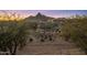 Two-story home with mountain views and landscaped yard at 26698 N 104Th Way, Scottsdale, AZ 85262