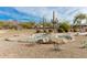 Desert landscaping with a pond and fountain, cactus plants, and mountain views at 3301 S Goldfield Rd # 5027, Apache Junction, AZ 85119