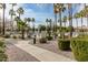 Resort-style pool area with palm trees and walkway at 3301 S Goldfield Rd # 5027, Apache Junction, AZ 85119