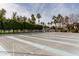 Community shuffleboard courts with palm trees and seating at 3301 S Goldfield Rd # 5027, Apache Junction, AZ 85119