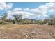 Landscaped backyard with mountain views at 4344 E Desert Crest Dr, Paradise Valley, AZ 85253