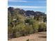 Scenic view of a desert landscape with mountain backdrop, lush greenery, and clear blue sky providing a serene living experience at 4344 E Desert Crest Dr, Paradise Valley, AZ 85253