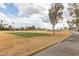 Golf course view with a well-maintained green at 5609 W Posse Dr, Eloy, AZ 85131