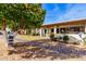 Landscaped backyard with a lemon tree and rock pathway at 7911 E Desert Trl, Mesa, AZ 85208