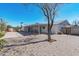 Spacious backyard with covered patio, concrete and paver areas at 955 N Jay St, Chandler, AZ 85225