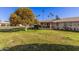 Backyard view showing home, lush lawn, and fruit trees at 10515 W El Capitan Cir, Sun City, AZ 85351