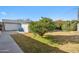 A spacious backyard with a mature citrus tree, offering both beauty and shade on a sunny day at 1632 E Maryland Ave, Phoenix, AZ 85016