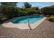 Backyard pool with a ledge, water feature, and lush greenery at 20369 N 272Nd Ave, Buckeye, AZ 85396