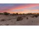 Peaceful backyard view at sunset at 23187 W Lasso Ln, Buckeye, AZ 85326