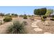 Landscaped backyard with fire pit and stone pathway at 23187 W Lasso Ln, Buckeye, AZ 85326
