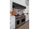 Stainless steel range and range hood in a modern kitchen with white cabinets at 2597 E Locust Dr, Chandler, AZ 85286