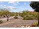 Landscaped backyard with mountain views at 26702 W Sierra Pinta Dr, Buckeye, AZ 85396