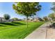 Beautiful community park with walking path, lush grass, mature trees, and playground in a desirable neighborhood at 1094 S 151St S Ln, Goodyear, AZ 85338