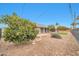 Landscaped backyard with a large orange tree and grassy area at 12451 N Cherry Hills E Dr, Sun City, AZ 85351