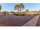 Landscaped backyard with palm trees, gravel, and a brick pathway at 14316 W Circle Ridge Dr, Sun City West, AZ 85375