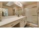 Clean bathroom with a large vanity and walk-in shower at 18619 N 136Th Dr, Sun City West, AZ 85375